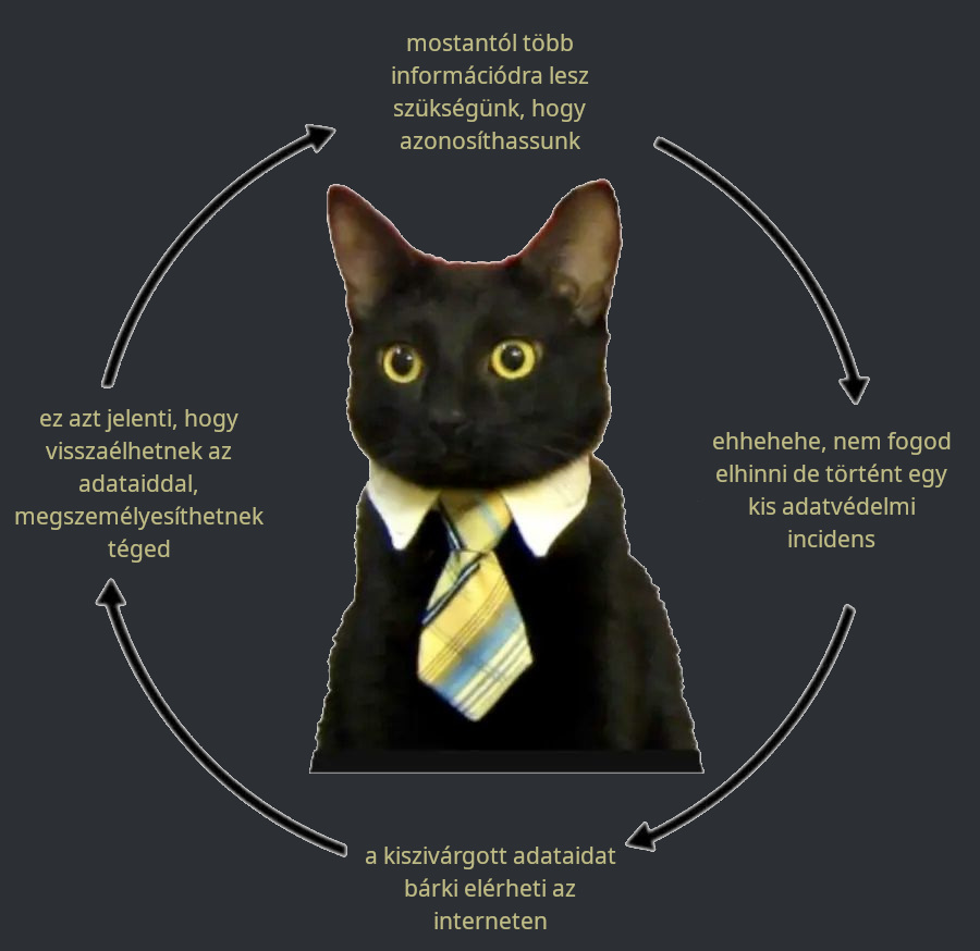 The cycle of databreaches. Ironic cat meme about the paradox of getting more info in the name of security, resulting in losing more info in each data breach.